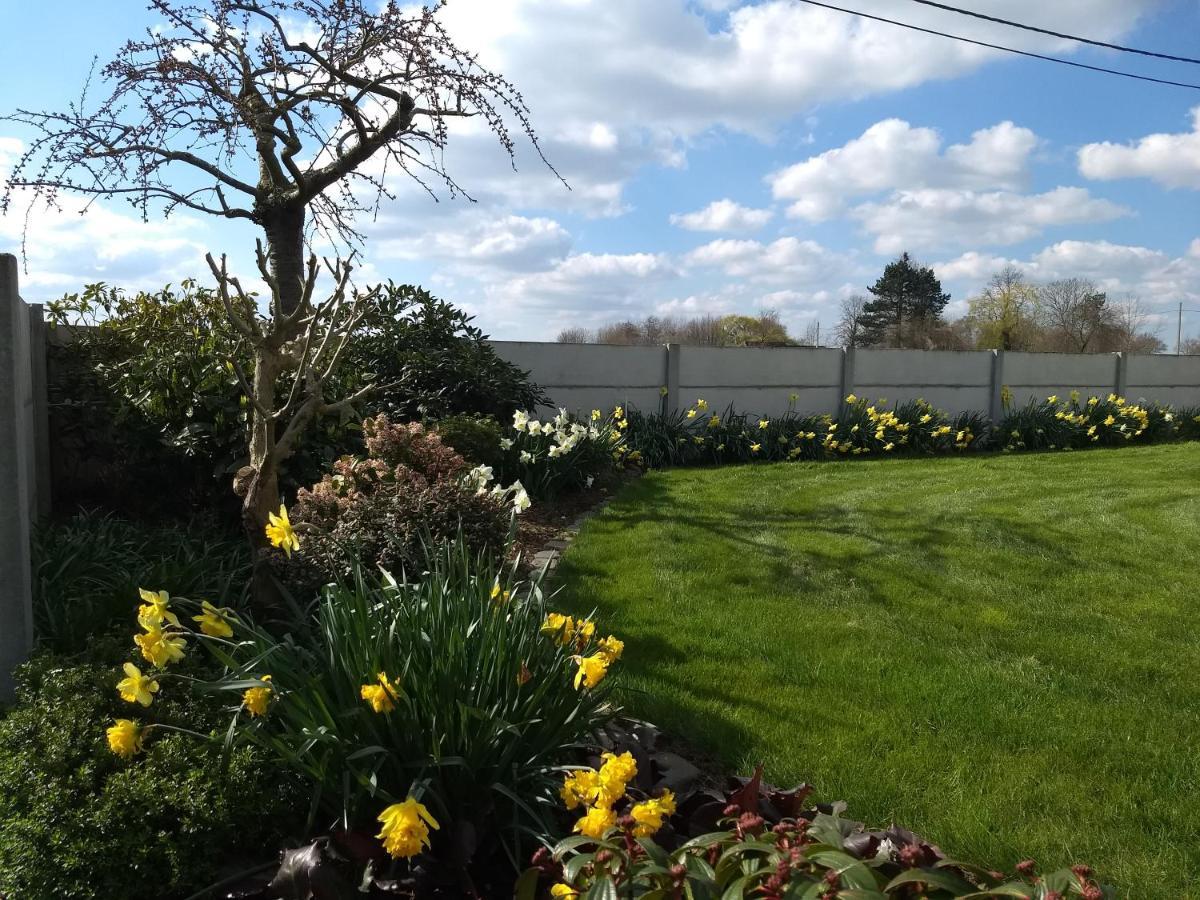 Dhofstede Vakantiewoning オーデナールデ エクステリア 写真
